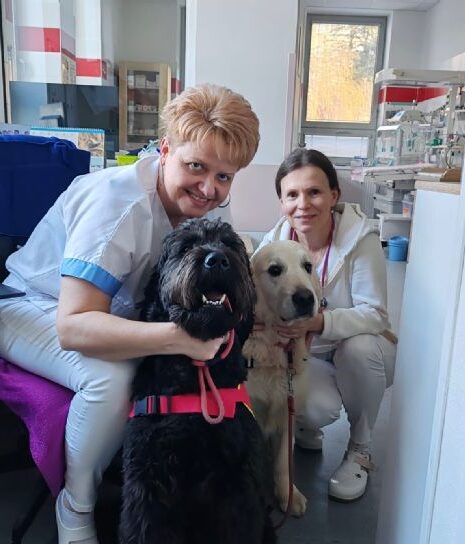 Keď liečia labky. Canisterapia si vo zvolenskej nemocnici našla svoje pevné miesto_697a34881ab35.jpeg