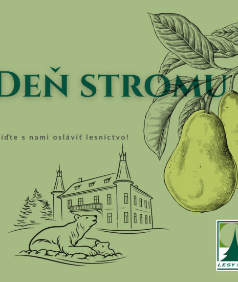 Deň stromu 2026_69920da1888dc.png