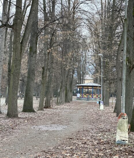 V piatok sa začne s odstraňovaním stromov ohrozujúcich prevádzkovú bezpečnosť parku_698e9e5f5a7f8.jpeg