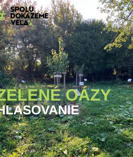 Zelené oázy : O podpore projektov rozhodujú aj hlasy verejnosti_6990db15792f2.jpeg