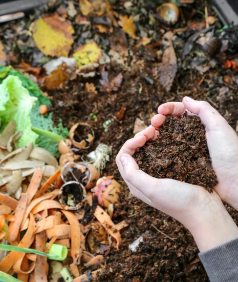 Banskobystričania môžu opäť bezplatne využiť kompost do svojich záhrad, je potrebná registrácia_69b431146f70e.jpeg