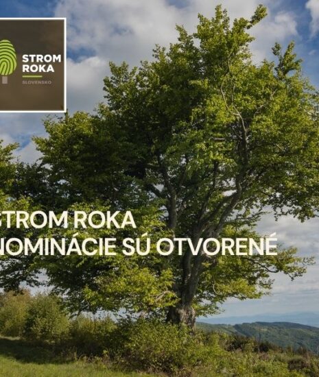 Hľadáme stromy, ktoré spájajú ľudí. Nominácie do ankety Strom roka 2026 sú otvorené._69cd7ff23ba03.jpeg