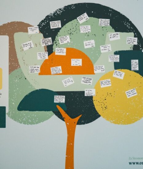 Projekt Strom prianí prichádza na UK, podporí duševné zdravie študentov a študentiek_69cf4dbc51bb8.jpeg