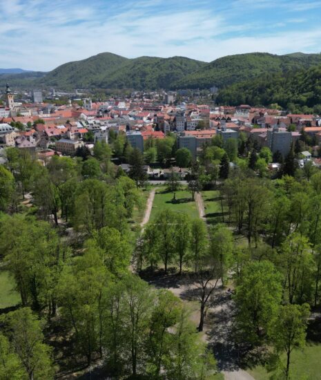 V mestskom parku sa vysadí 330 nových stromov, zhoda je na ozdravnom prístupe obnovy zelene