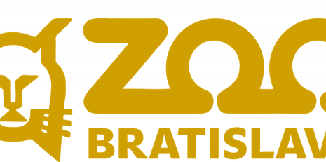 ZOO Bratislava má nové mláďatá, narodilo sa aj vzácne mláďa takina zlatého_69ceb2e980174.png