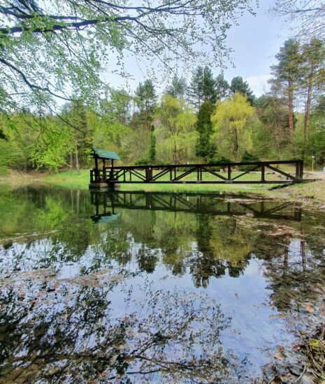 Tropické horúčavy udreli plnou silou aj na severovýchod Slovenska_6a3d156a1e3e5.jpeg