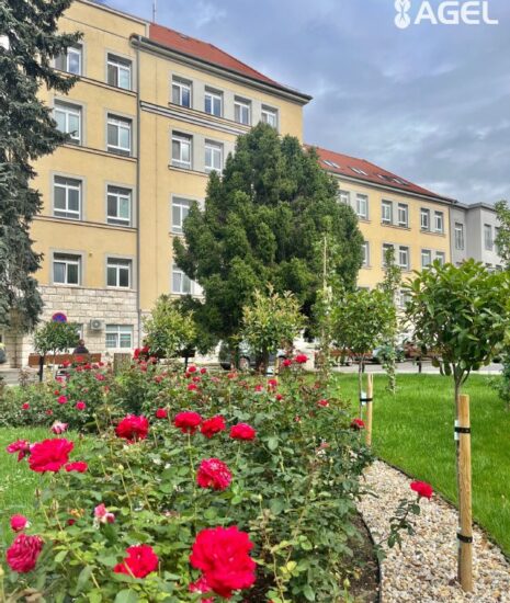 Skalická nemocnica posilňuje starostlivosť o pacientov s neuropsychiatrickými ťažkosťami_6abbe29c67f9e.jpeg
